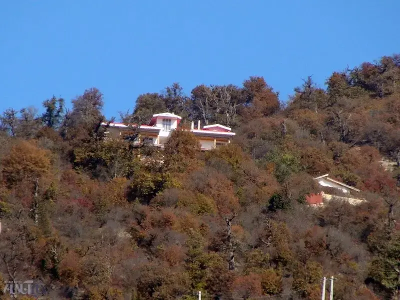 کجور