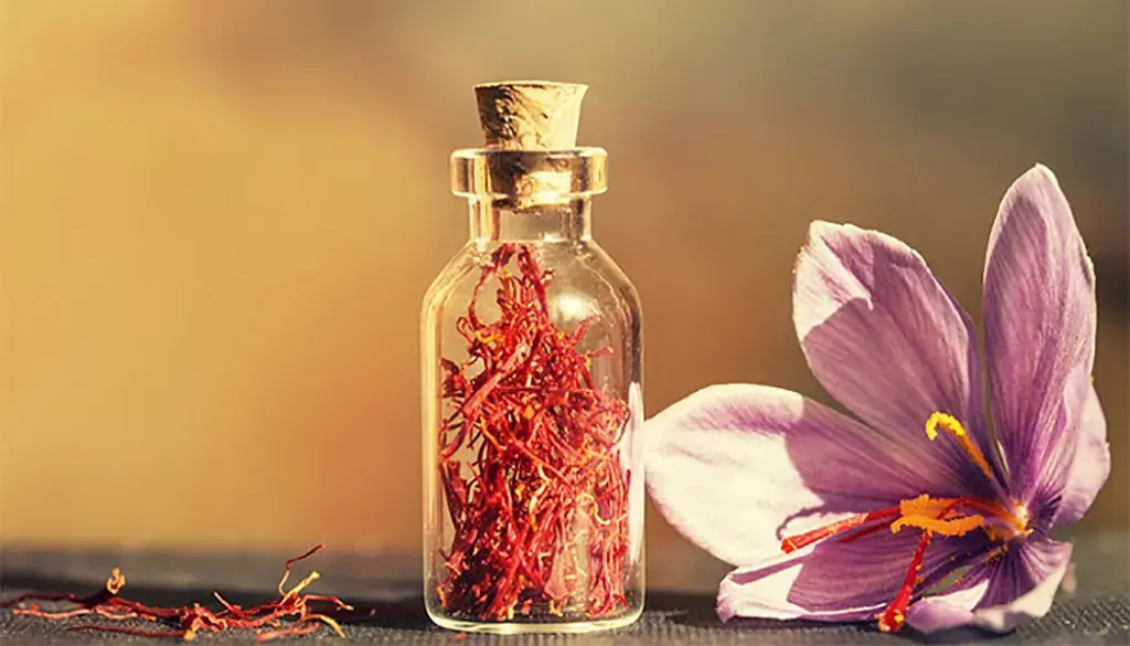 500ff901-6348-4d8a-ad96-2d1dc039d2e8