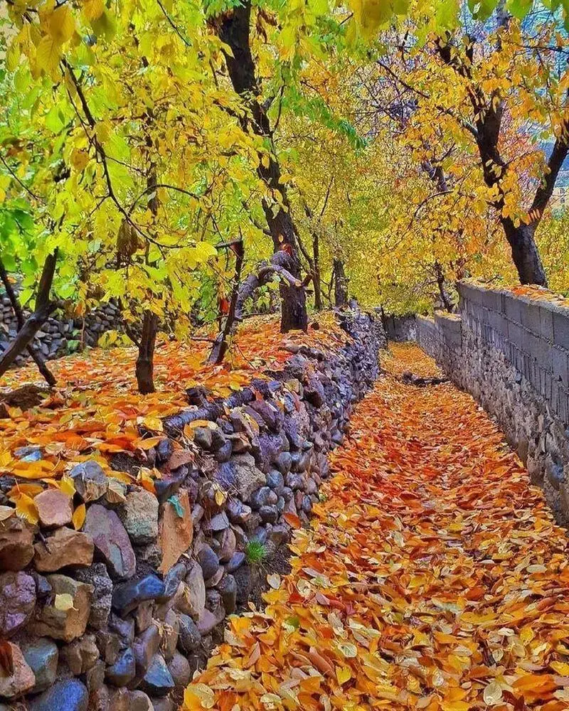 سنگان