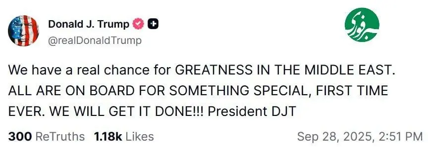 98562-82646