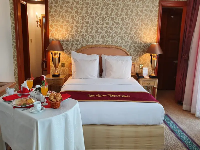 بررسی هتل_های شمال تهران با چشم_انداز کوه_های البرز - تصویر 3