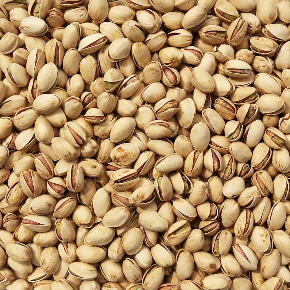 بررسی روند تغییر قیمت آجیل در ماه_های اخیر - تصویر 2