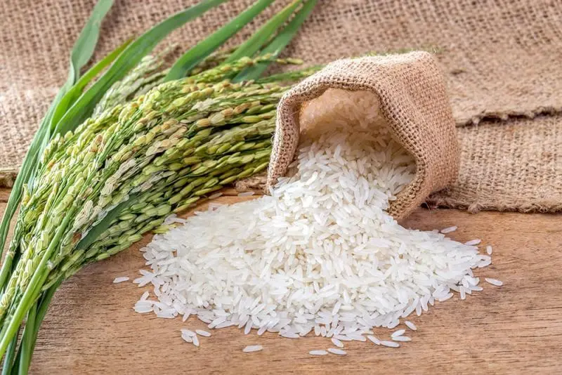 لیست قیمت انواع برنج ایرانی ۲۶ اردیبهشت ۱۴۰۵ | کیسه ۱۰ کیلویی برنج نیم دانه، عنبربو، هاشمی و...را چند بخریم؟ + جدول