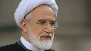 توضیح سخنگوی دولت درباره خبر عفو مهدی کروبی