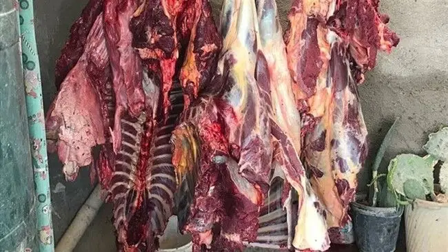 ماجرای هولناک فروش گوشت انسان در یک قصابی چه بود؟
