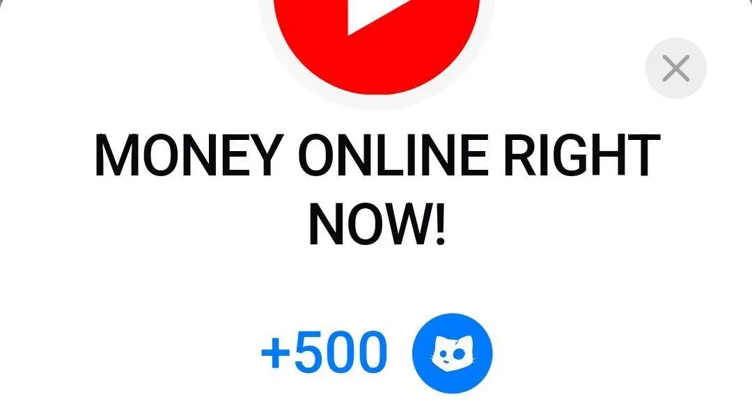 کد تسک MONEY ONLINE RIGHT NOW بازی کتز امروز ۳۰ مهر ۱۴۰۳