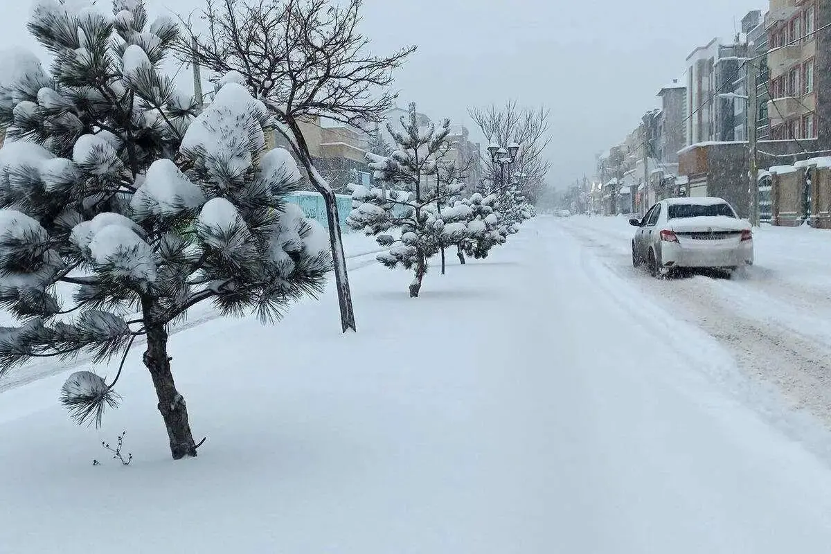 پیش بینی هوای کردستان فردا دوشنبه یکم بهمن ۱۴۰۳ + وضعیت بارش برف در سنندج در روزهای آینده