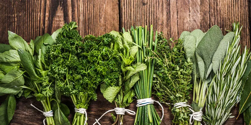 ۱ کیلو سبزی برای چند نفر کافی است؟ جدول مقدار سبزی برای هر غذا!