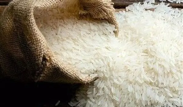 آرسنیک و سموم در برنج؛ این کار ساده را قبل از پخت انجام دهید