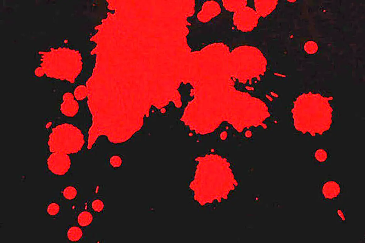 جزئیات قتل همسر رئیس تعزیرات همدان | مقتول آدم موجه و محترمی بود اما... | این زن با صورت کبود سر کار می‌رفت + عکس