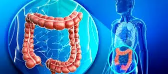 راز طول عمر در روده‌ها!
