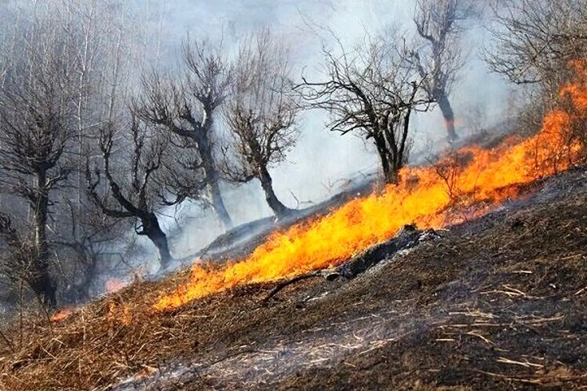 آتش‌سوزی‌های جنگلی در یونان؛ گرمای غیرمعمول عامل گسترش حریق‌هاست