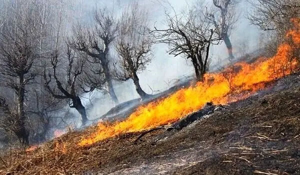 آتش‌سوزی‌های جنگلی در یونان؛ گرمای غیرمعمول عامل گسترش حریق‌هاست