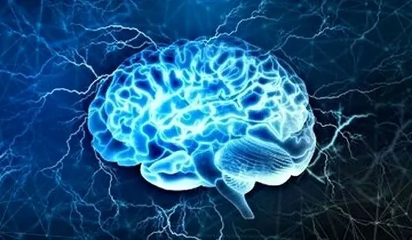 کدام ضربه‌ها به سر می‌تواند آسیب جدی به مغز بزند؟