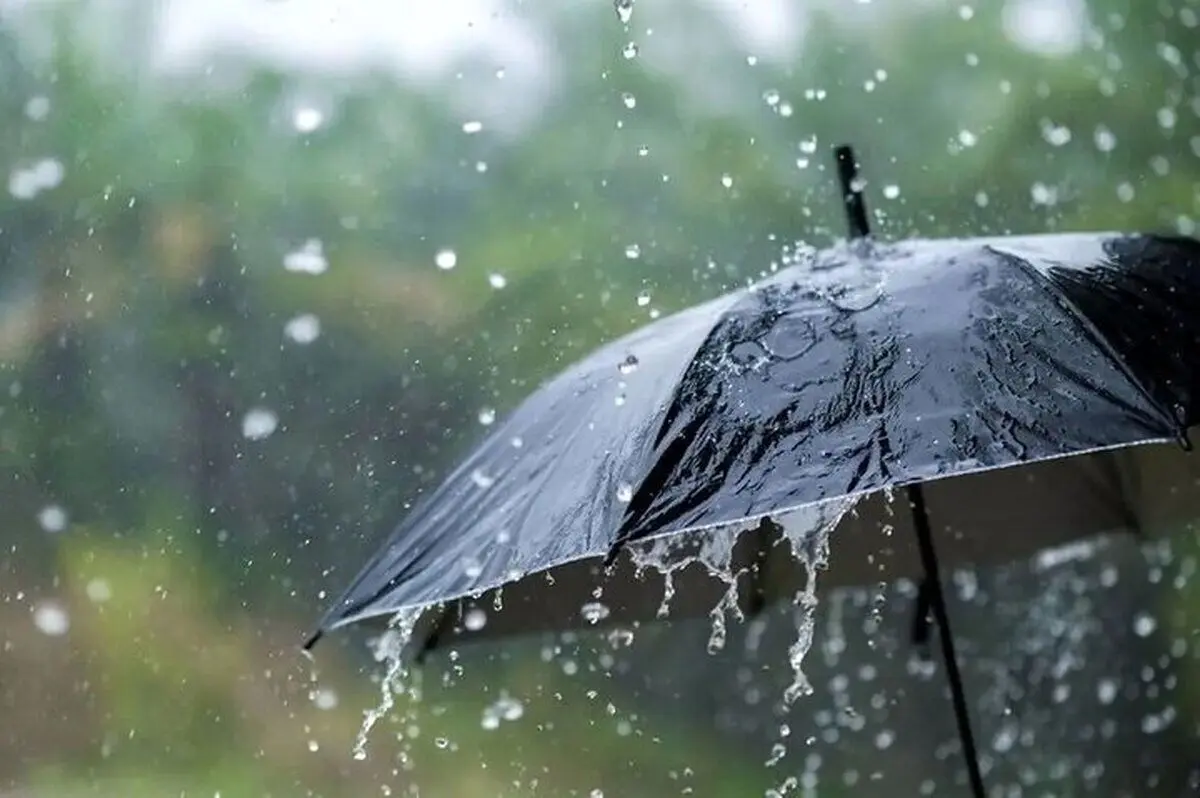 پیش بینی هواشناسی فارس در ۲۴ ساعت آینده + وضعیت هوای فارس فردا سه شنبه ۱۴ اسفند ۱۴۰۳ +بارش برف و باران در فارس