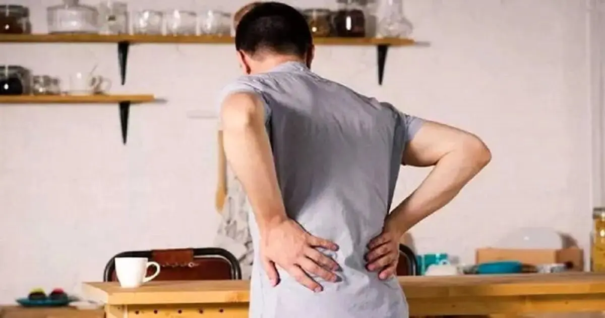 این باکتری ها سنگ کلیه را از بین می برند