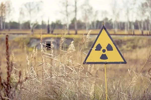 ۴۰ سال بعد، بقایای رادیواکتیو چرنوبیل انتظارات دانشمندان را به چالش می‌کشند