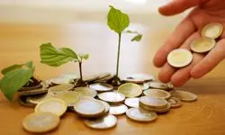 علت واریز نشدن مستمری آبان ۱۴۰۴ بهزیستی و کمیته امداد چیست؟
