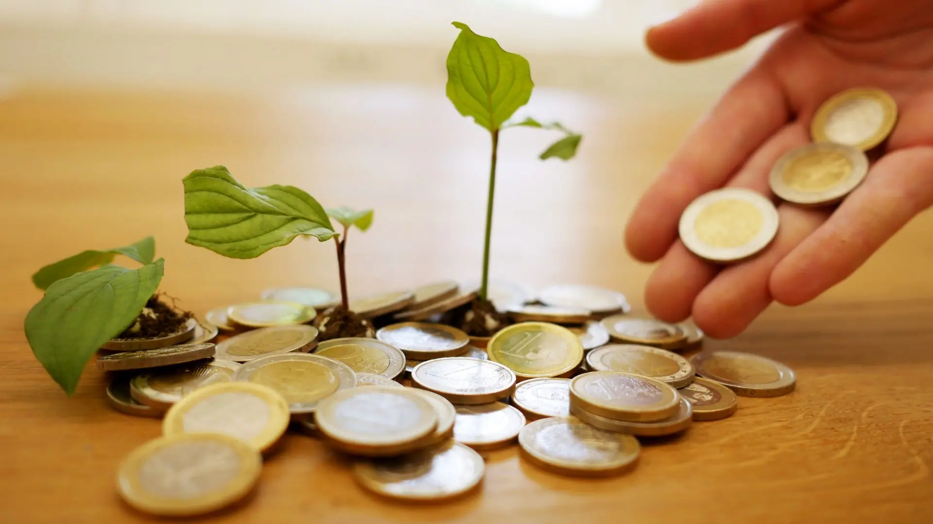 محاسبه آنلاین عیدی 1404: راهنمای گام به گام
