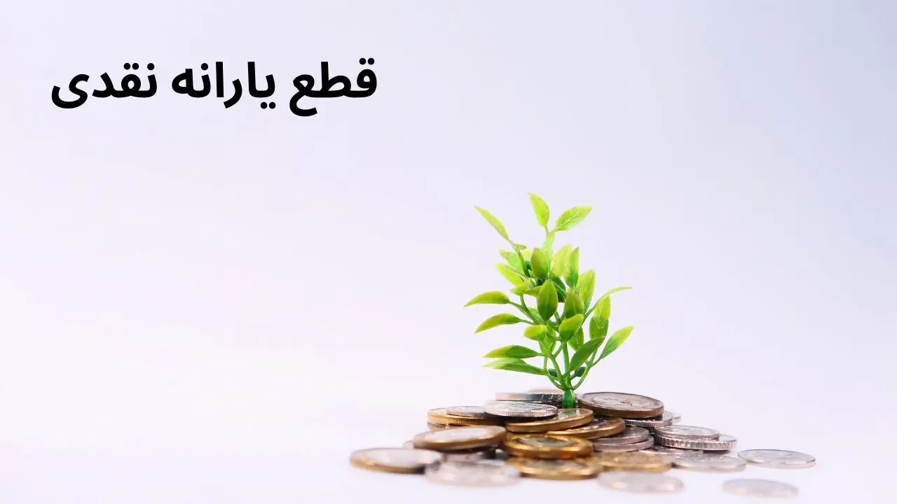 یارانه نقدی این خانوارها در فروردین ۱۴۰۴ قطع می شود | نحوه اعتراض به قطع یارانه نقدی چیست؟