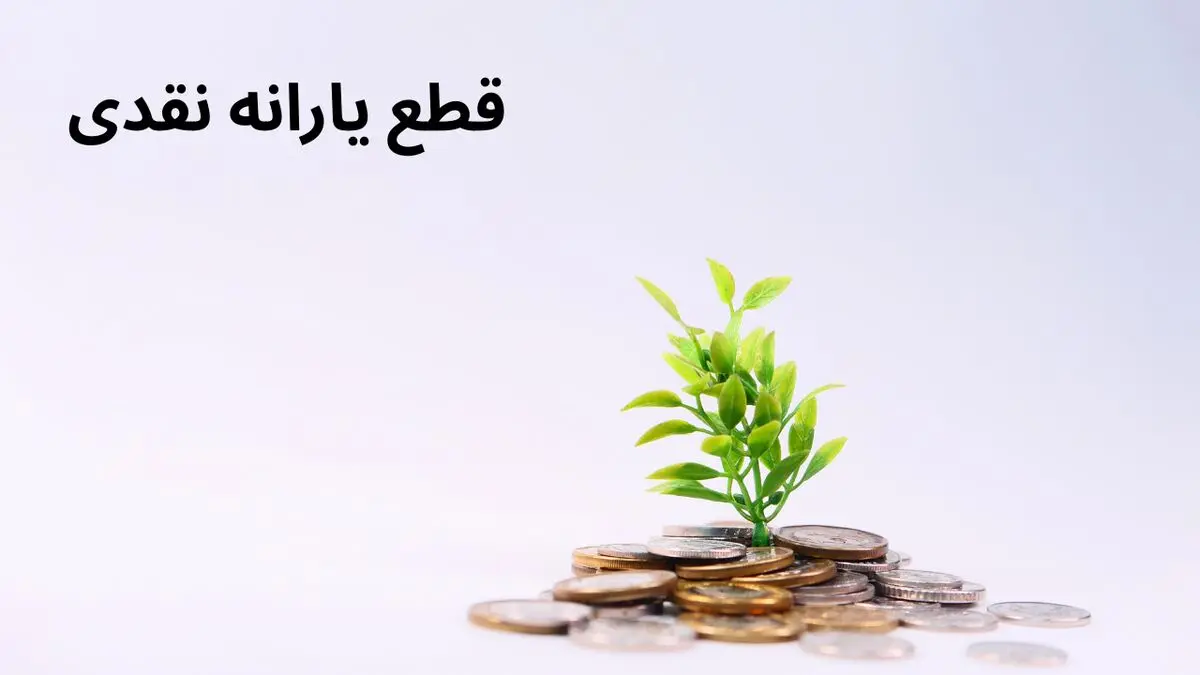یارانه نقدی این خانوارها در فروردین ۱۴۰۴ قطع می شود | نحوه اعتراض به قطع یارانه نقدی چیست؟