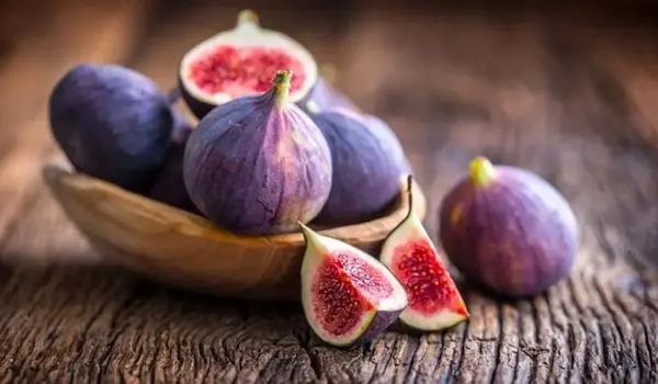 خواص انجیر؛ میوه‌ای شیرین با فوایدی شگفت‌انگیز برای سلامت بدن