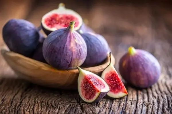 خواص انجیر؛ میوه‌ای شیرین با فوایدی شگفت‌انگیز برای سلامت بدن
