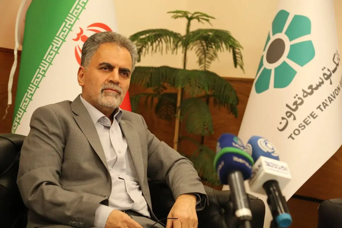 رئیس هیات‌مدیره بانک توسعه تعاون: نظام تامین مالی اقتصاد باید متنوع شود
