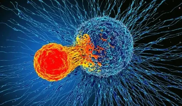 سلول‌های سرطانی چگونه خود را در بدن پنهان می‌کنند؟
