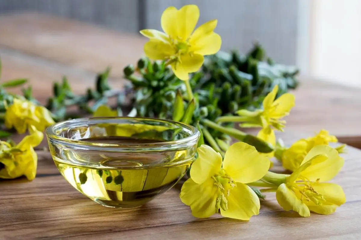 روغن گل مغربی چه فایدهای دارد؟