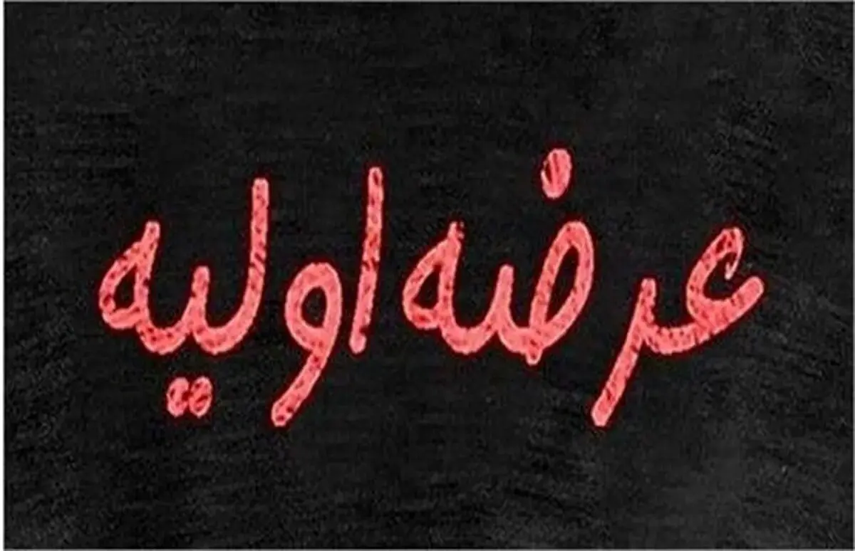 جزئیات عرضه اولیه اروند | سهامداران بورس بخوانند
