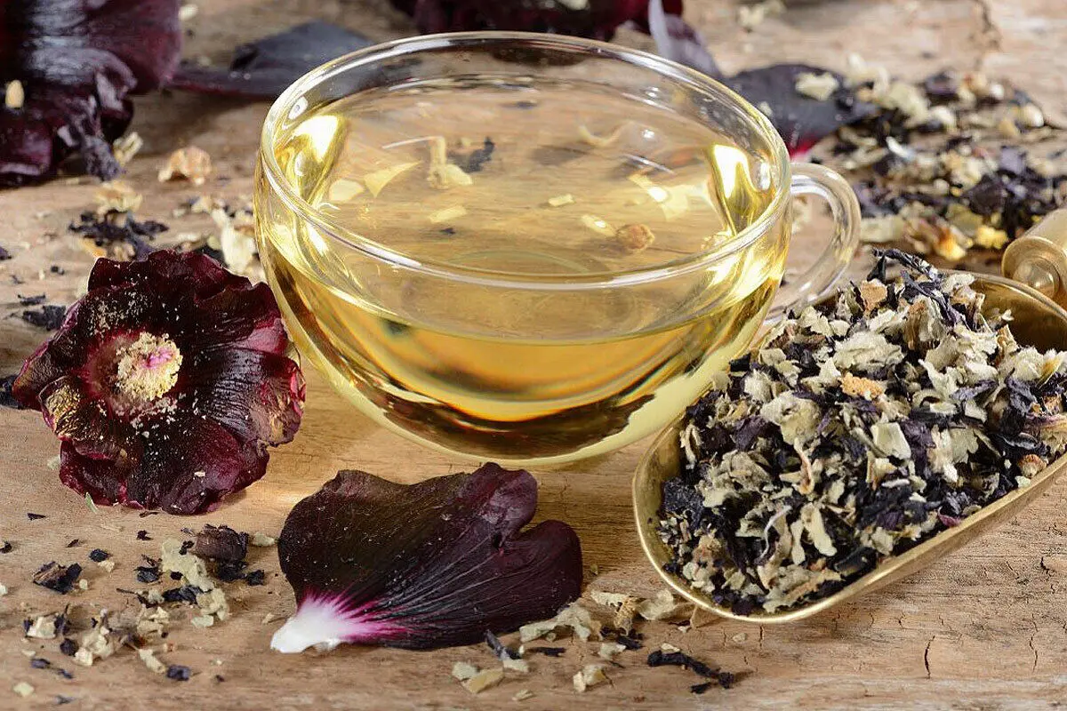 ختمی دوباره مورد توجه پژوهشگران قرار گرفت