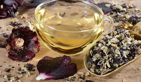 ختمی دوباره مورد توجه پژوهشگران قرار گرفت