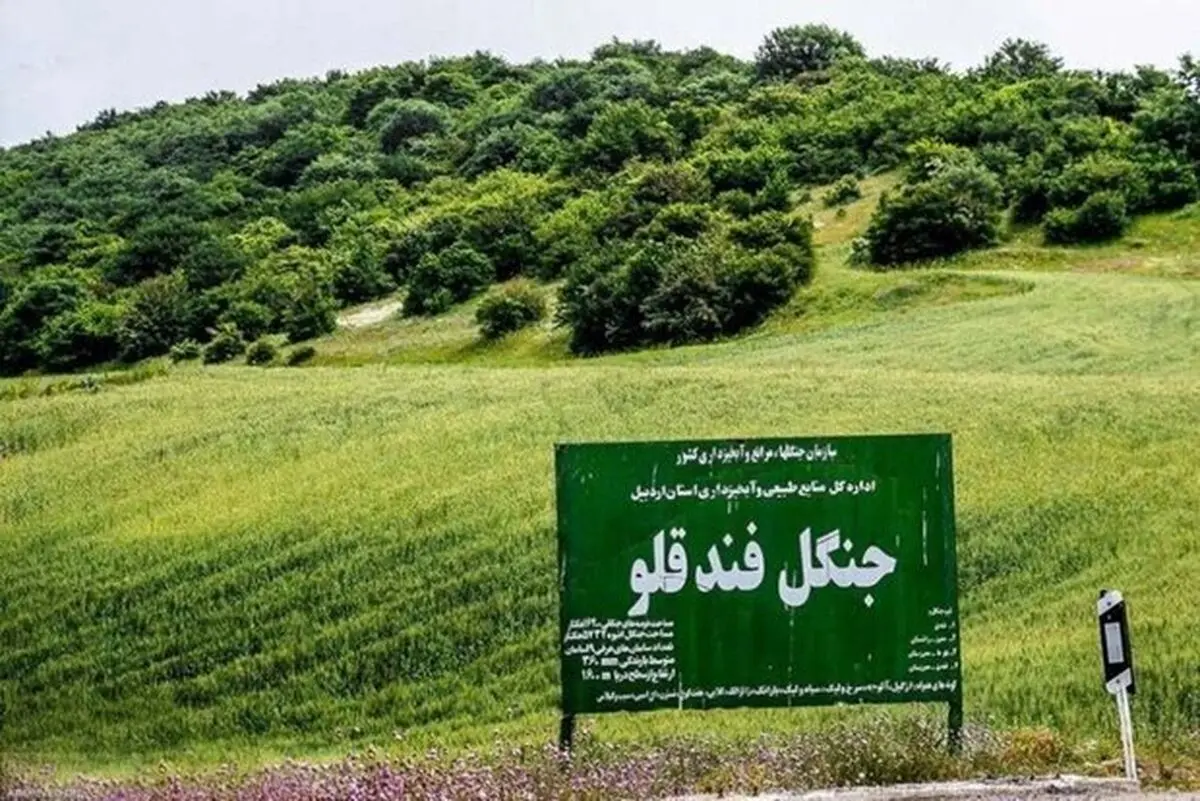 برای اولین‌بار در پرونده قطع درختان؛ حکم تبعید صادر شد | کمین ۴۸ ساعته برای شکار متخلفان فندقلو