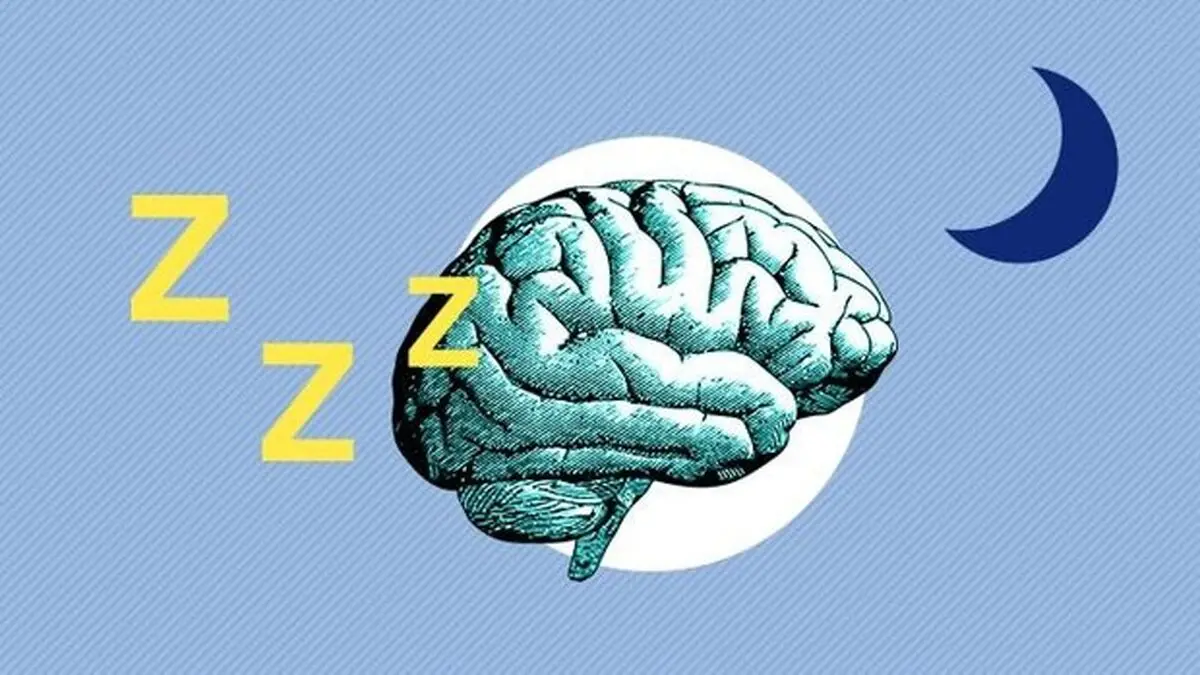ترکیبی که عملکرد مغز را تقویت می‌کند