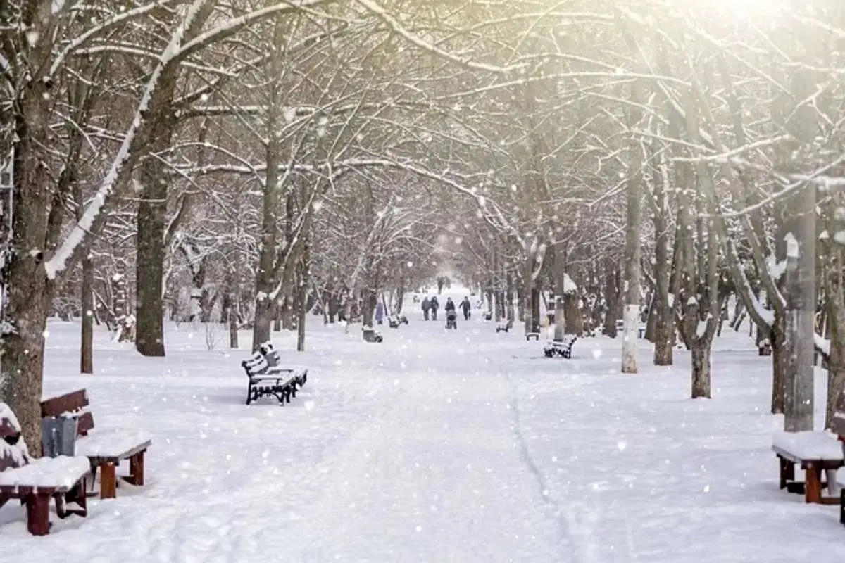 ورود موج بارشی قوی از فردا | این استان‌ها منتظر بارش برف سنگین باشند