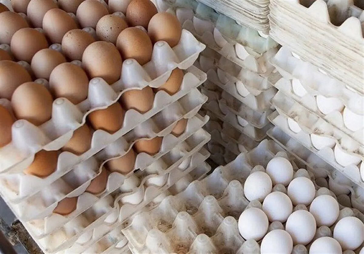 قیمت جدید مرغ، تخم مرغ و گوشت قرمز در بازار امروز