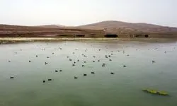سطح آب در این تالاب به مرحله سرریز رسیده است