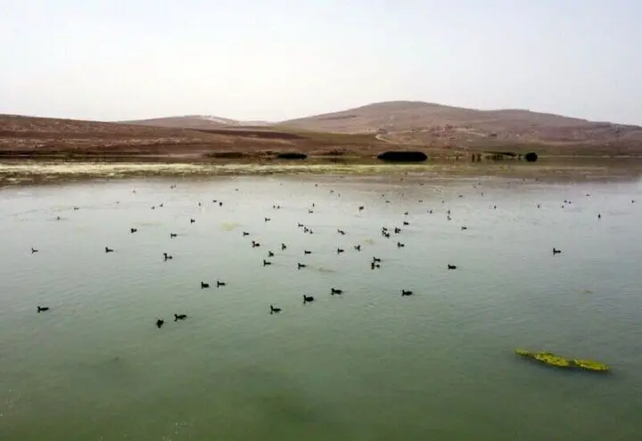 سطح آب در این تالاب به مرحله سرریز رسیده است
