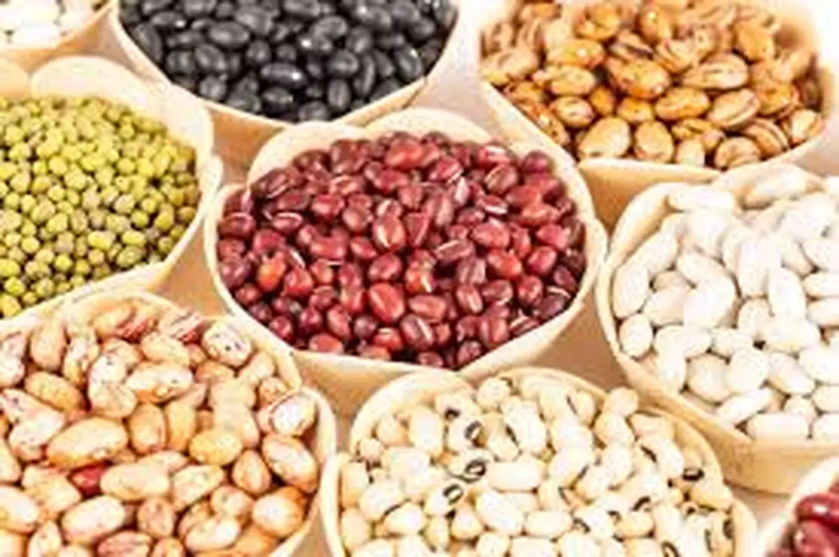  این حبوبات معجزگری برای گوارش شماست 