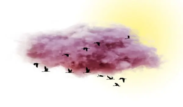 وضعیت هوای فردا زنجان جمعه ۱ اسفند ۱۴۰۴ | پیش بینی آب و هوای زنجان در ۲۴ ساعت آینده + هواشناسی زنجان