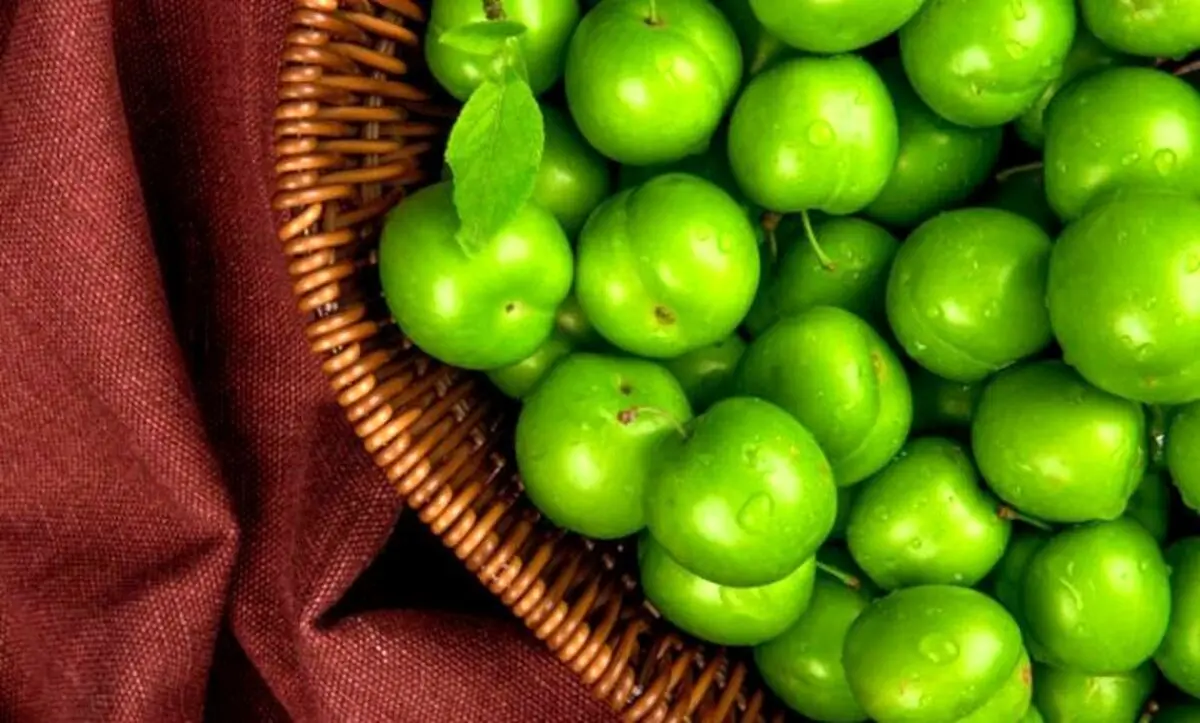 گوجه سبز به کیلویی ۱۱ میلیون رسید! | گوجه سبز از کالای لوکس هم فراتر رفت
