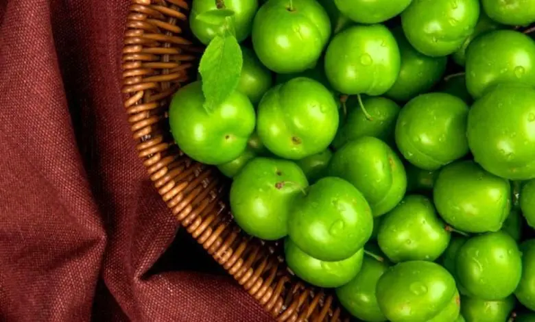 گوجه سبز به کیلویی ۱۱ میلیون رسید! | گوجه سبز از کالای لوکس هم فراتر رفت