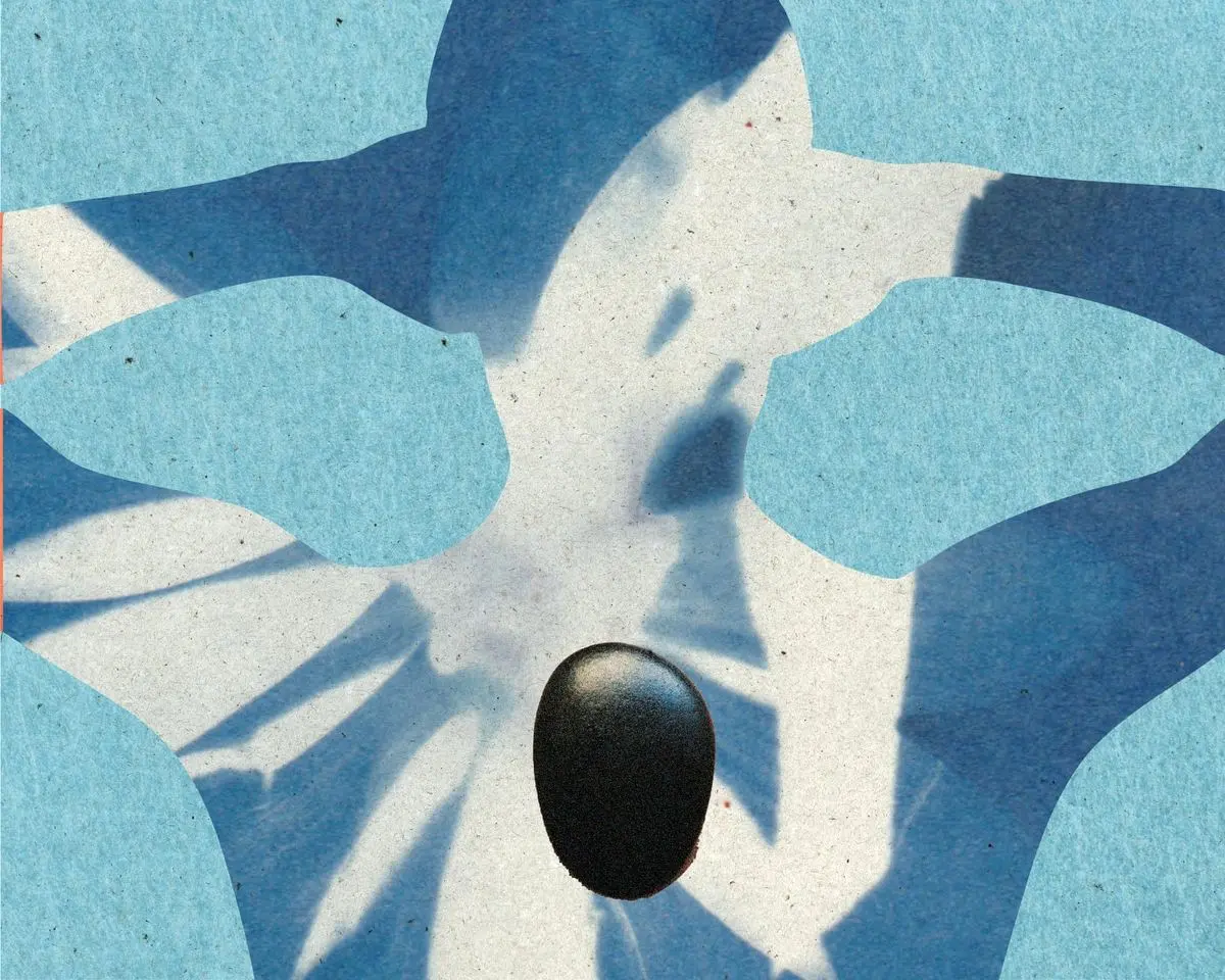 قدرت شفابخش لمس: ماساژ چقدر واقعاً برای سلامتی مفید است؟