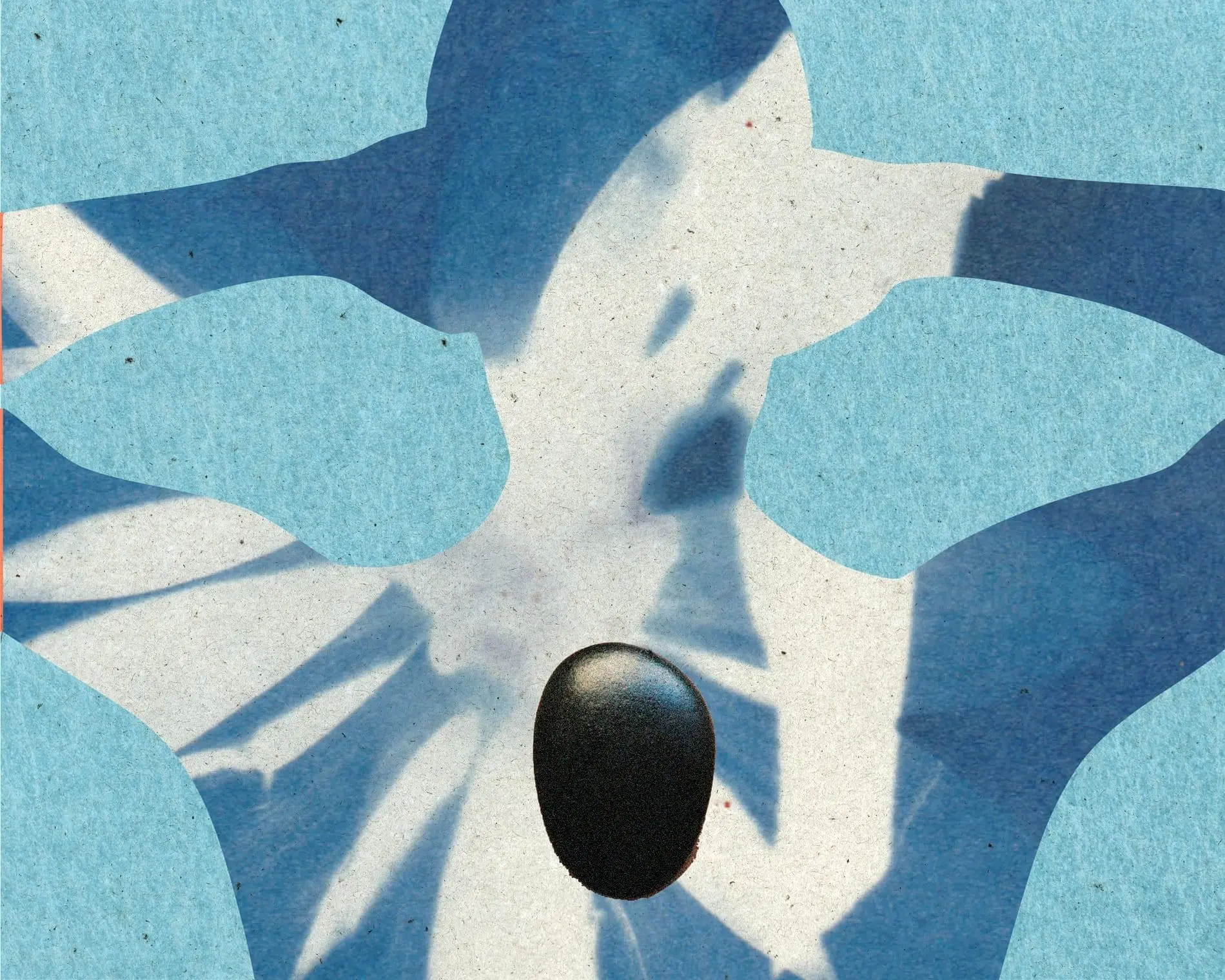 قدرت شفابخش لمس: ماساژ چقدر واقعاً برای سلامتی مفید است؟