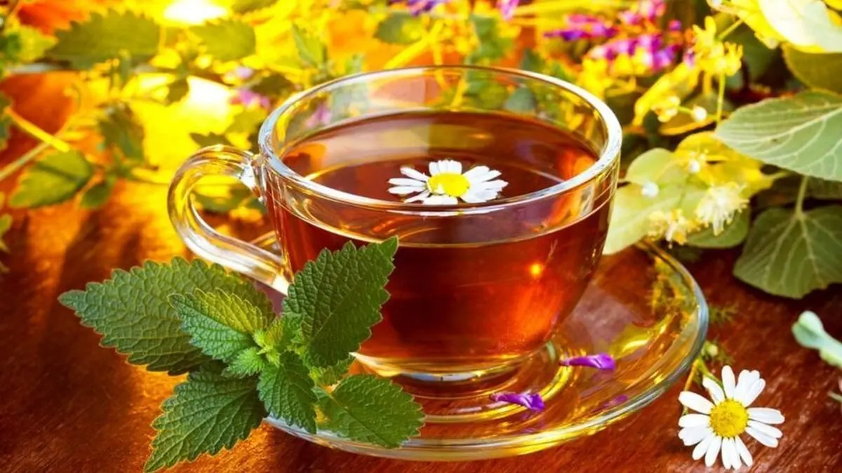 این دمنوش‌های گیاهی مثل بمب انرژی‌زا هستند|بخورید و شارژ شوید
