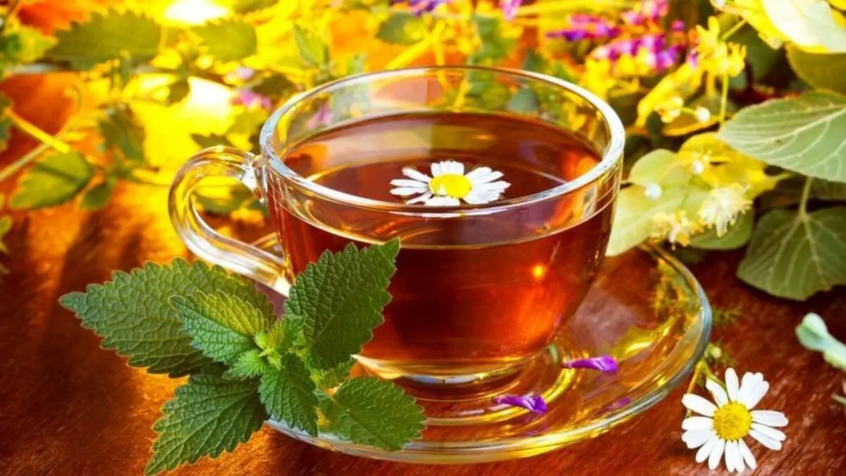 این دمنوش‌های گیاهی مثل بمب انرژی‌زا هستند|بخورید و شارژ شوید
