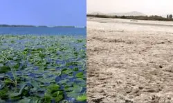 خشک شدن کامل سراب نیلوفر کرمانشاه؛ زنگ خطر برای طبیعت غرب کشور