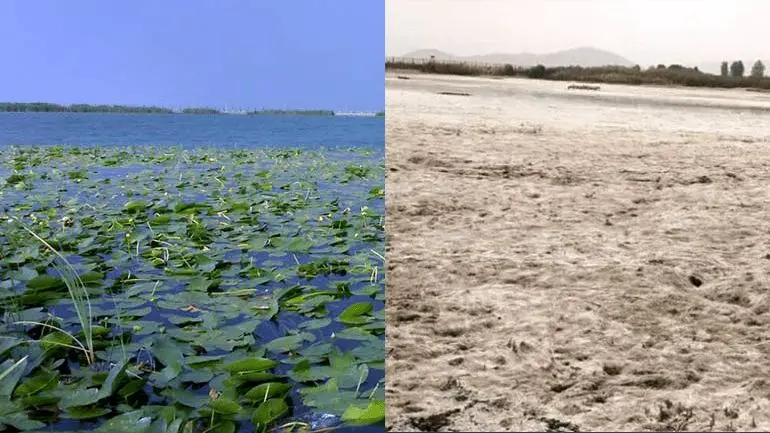 خشک شدن کامل سراب نیلوفر کرمانشاه؛ زنگ خطر برای طبیعت غرب کشور