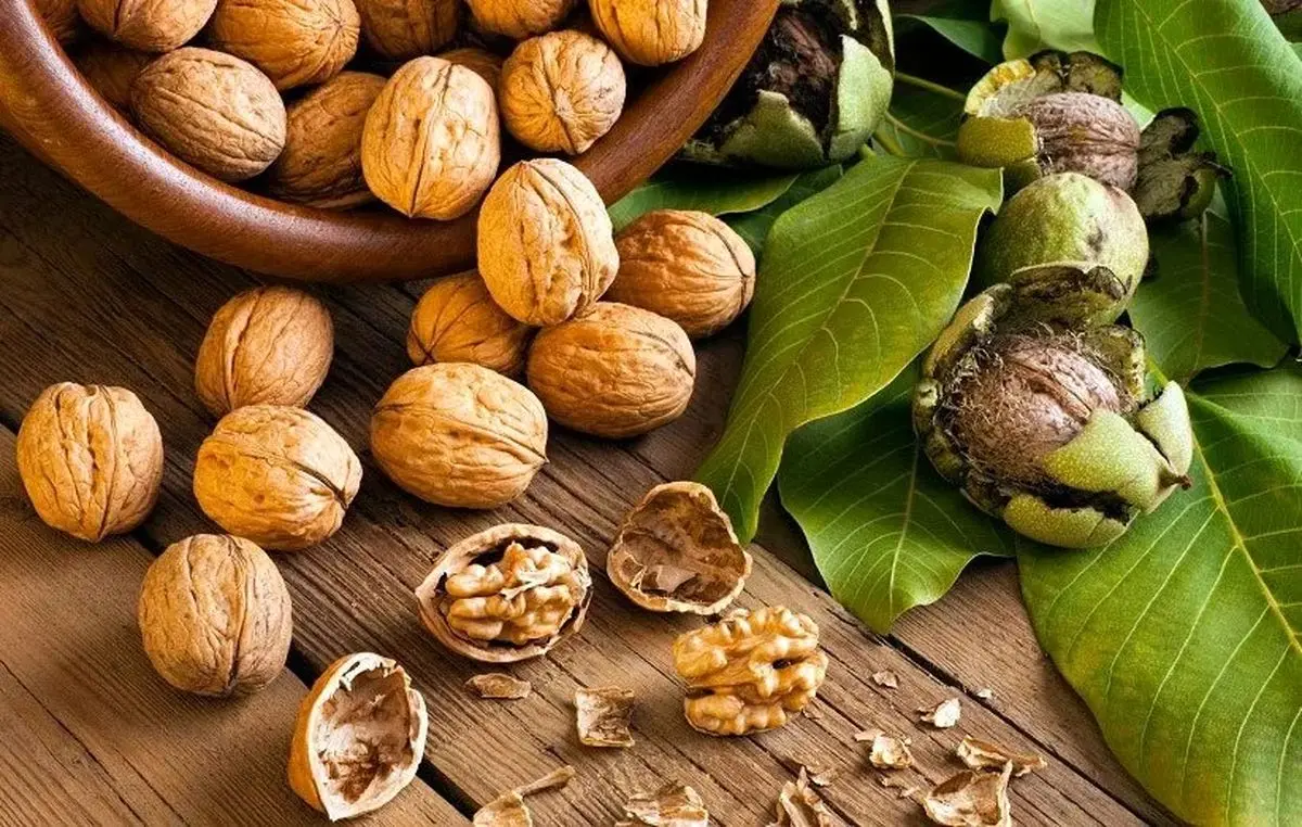چرا آجیلها باعث چاق نمیشوند؟